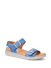 Hotter Blue Standard Fit Corfu Buckle Casual Sandals - Image 2 of 4