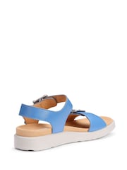 Hotter Blue Standard Fit Corfu Buckle Casual Sandals - Image 3 of 4