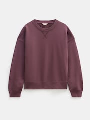 Hush Brown Back Detail 100% Cotton Sweatshirt - Image 5 of 5
