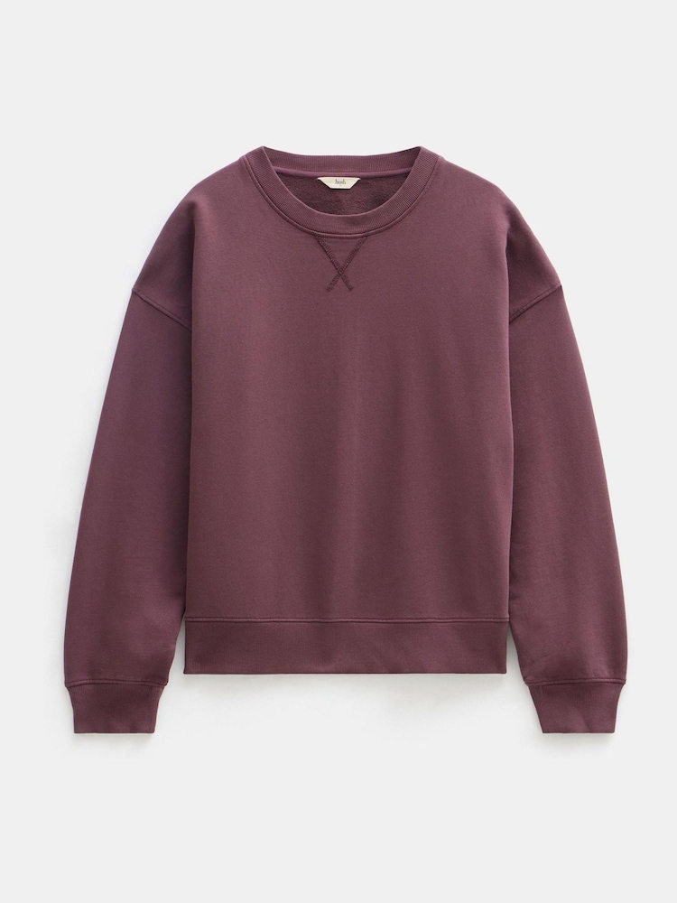 Hush Brown Back Detail 100% Cotton Sweatshirt - Image 5 of 5