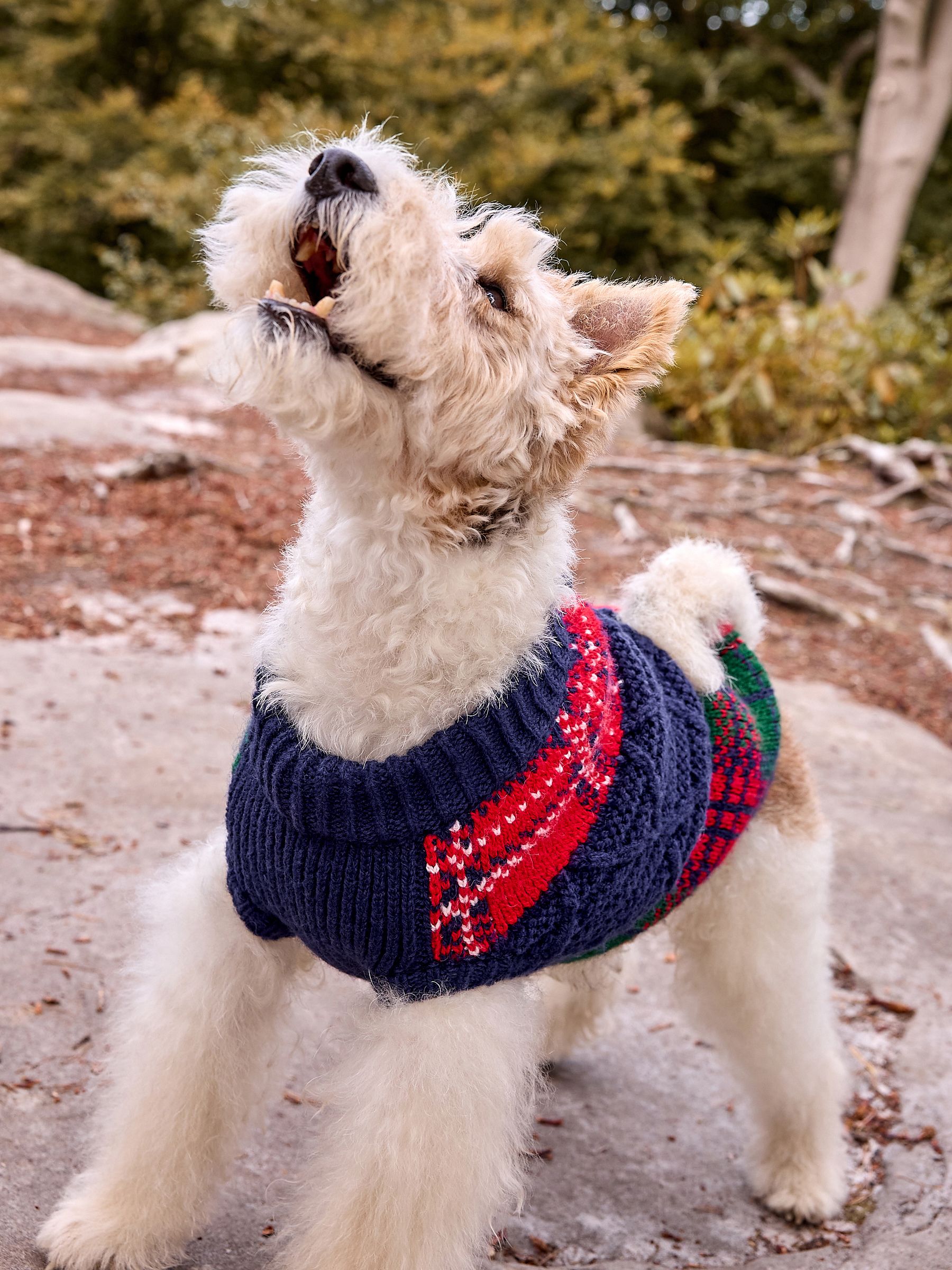 新品　犬服 E ニット　セーター ジョージ　パッチワーク Next：日本 ネイビーブルー パッチワーク - 犬用 ニットセーター from