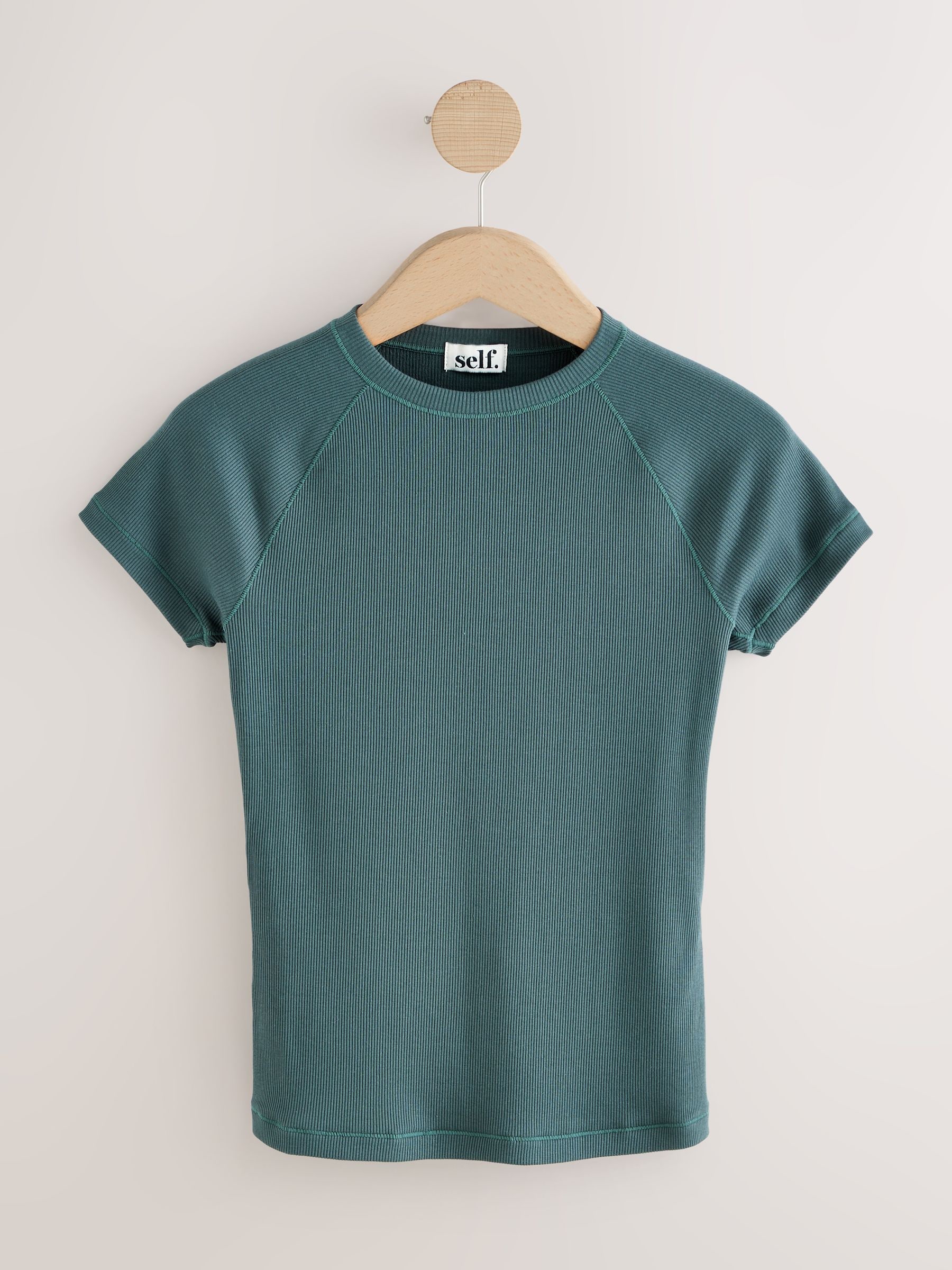 Buy self. Teal Blue Fitted Rib T-Shirt from Next USA