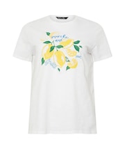 M&Co White Crew Neck 100% Cotton T-Shirt - Image 5 of 5