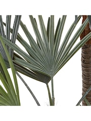 Gallery Home Grey Large Faux Potted Statement Palm Flowers - Image 5 of 6