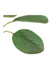Gallery Home 12 Pack Ivory Faux Stem Statement Tropical Artificial Flowers - Image 5 of 5