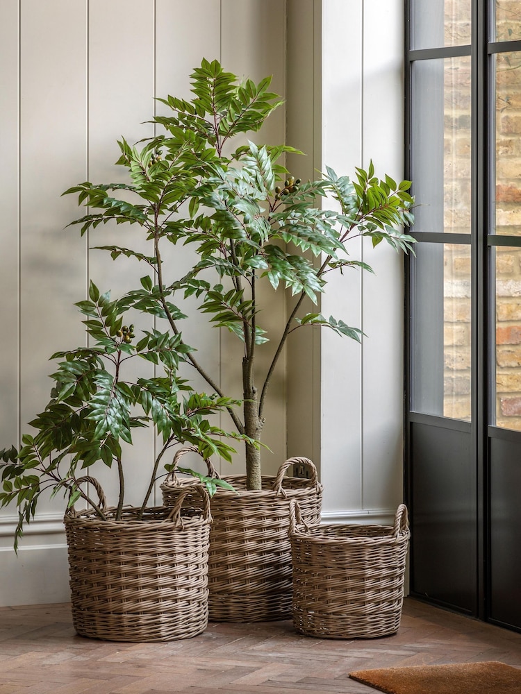 Gallery Home Green Large Faux Potted Chinese Olive Tree - Image 2 of 5 Gallery Home Green Large Faux Potted Chinese Olive Tree - Image 2 of 5