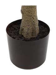 Gallery Home Green Large Faux Potted Chinese Olive Tree - Image 5 of 5