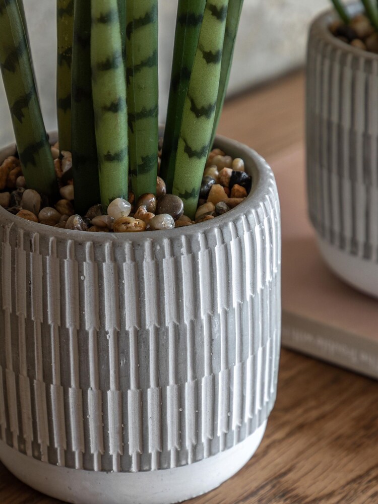 Gallery Home Set of 2 Natural Faux Small Succulents in Ceramic potsw - Image 2 of 5