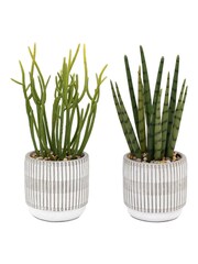 Gallery Home Set of 2 Natural Faux Small Succulents in Ceramic potsw - Image 3 of 5