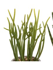 Gallery Home Set of 2 Natural Faux Small Succulents in Ceramic potsw - Image 4 of 5