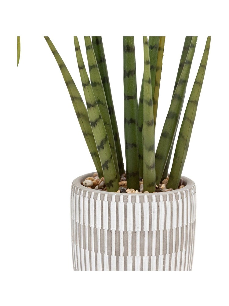 Gallery Home Set of 2 Natural Faux Small Succulents in Ceramic potsw - Image 5 of 5