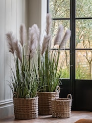 Gallery Home White Faux Potted Grass with Pampas Seed Heads 5 Pack Medium - Image 2 of 4