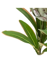 Gallery Home 12 Pack Green Faux Stem Statement Tropical Artificial Flowers - Image 4 of 4