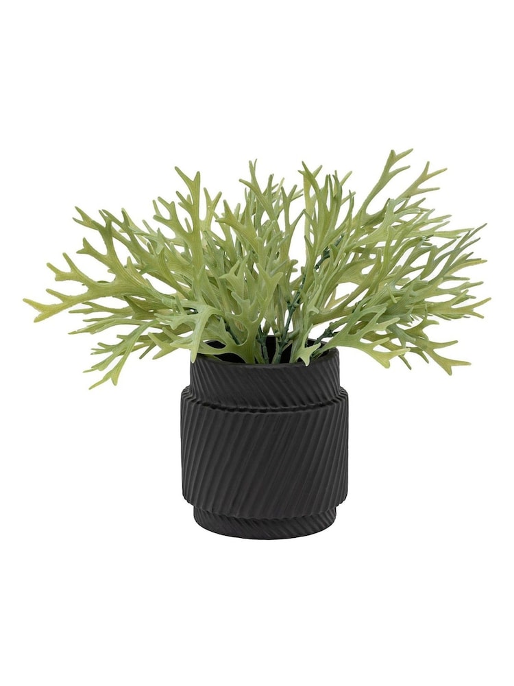 Gallery Home Green Faux Platycerium in Ceramic Pot - Image 1 of 3 Gallery Home Green Faux Platycerium in Ceramic Pot - Image 1 of 3
