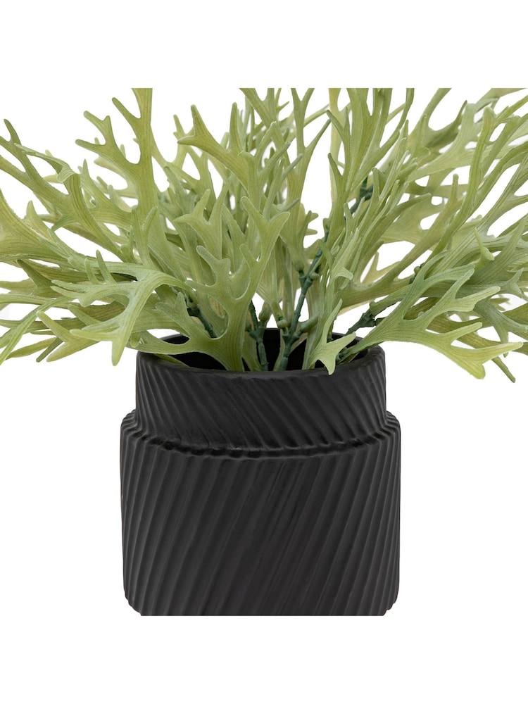 Gallery Home Green Faux Platycerium in Ceramic Pot - Image 2 of 3 Gallery Home Green Faux Platycerium in Ceramic Pot - Image 2 of 3