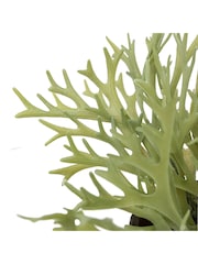 Gallery Home Green Faux Platycerium in Ceramic Pot - Image 3 of 3