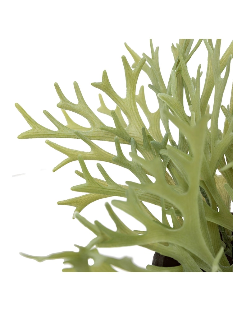 Gallery Home Green Faux Platycerium in Ceramic Pot - Image 3 of 3 Gallery Home Green Faux Platycerium in Ceramic Pot - Image 3 of 3