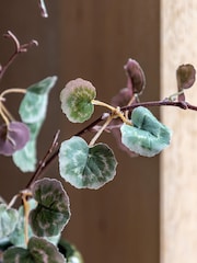 Gallery Home 6 Pack Green Faux Stem Twig Foliages - Image 2 of 5