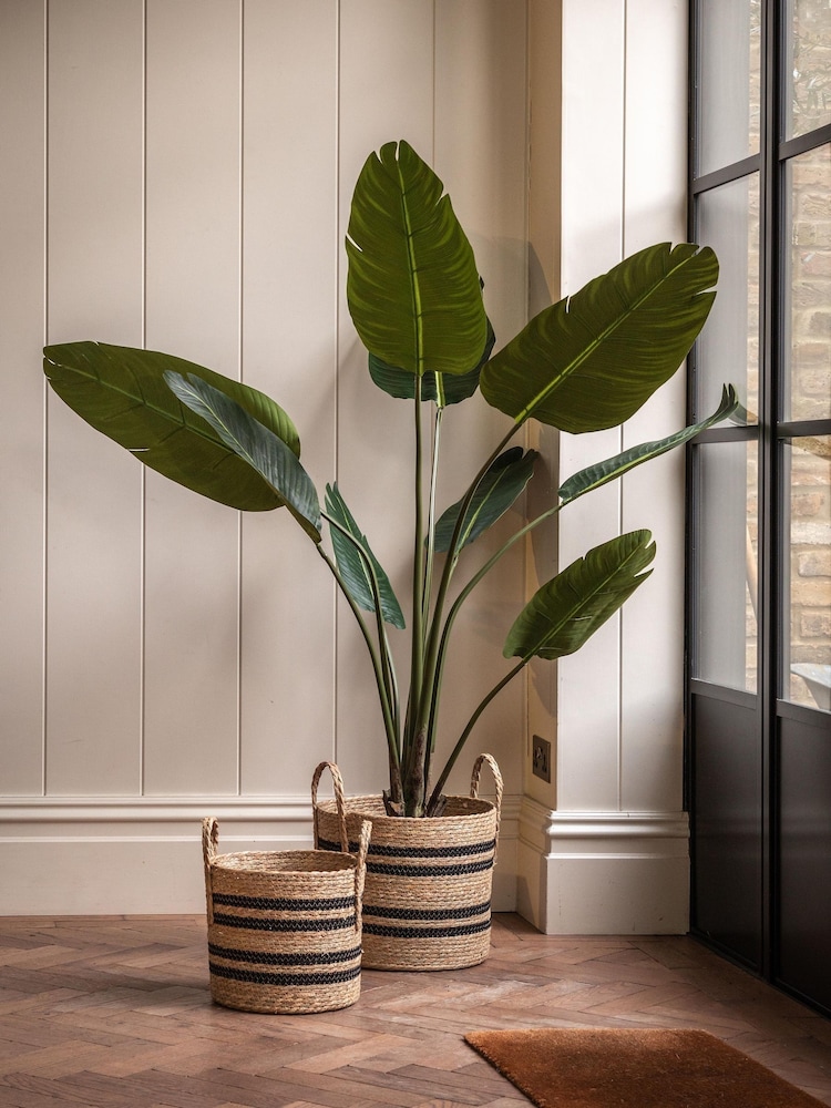 Gallery Home Green Faux Potted Travellers Palm Tree 5ft - Image 1 of 5 Gallery Home Green Faux Potted Travellers Palm Tree 5ft - Image 1 of 5