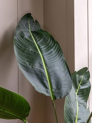 Gallery Home Green Faux Potted Travellers Palm Tree 5ft - Image 3 of 5