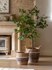 Gallery Home Green Faux Potted Eucalyptus Tree - Image 1 of 4