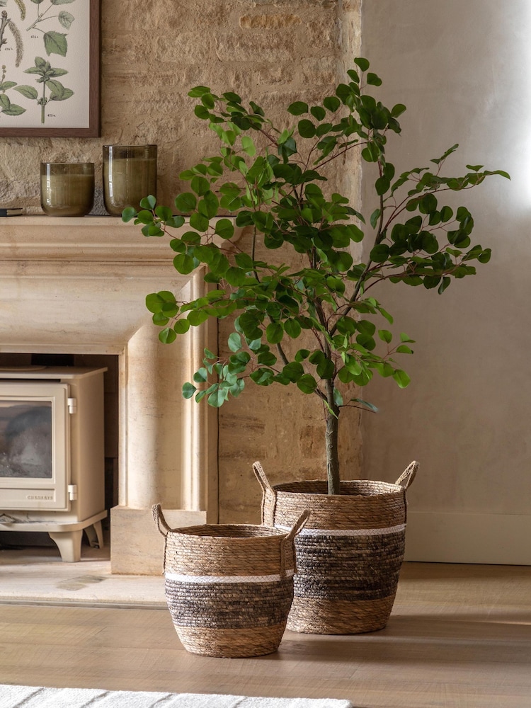 Gallery Home Green Faux Potted Eucalyptus Tree - Image 1 of 4