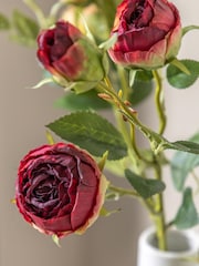 Gallery Home 6 Pack Claret Faux Stem Vintage Roses - Image 1 of 4