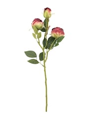 Gallery Home 6 Pack Claret Faux Stem Vintage Roses - Image 2 of 4