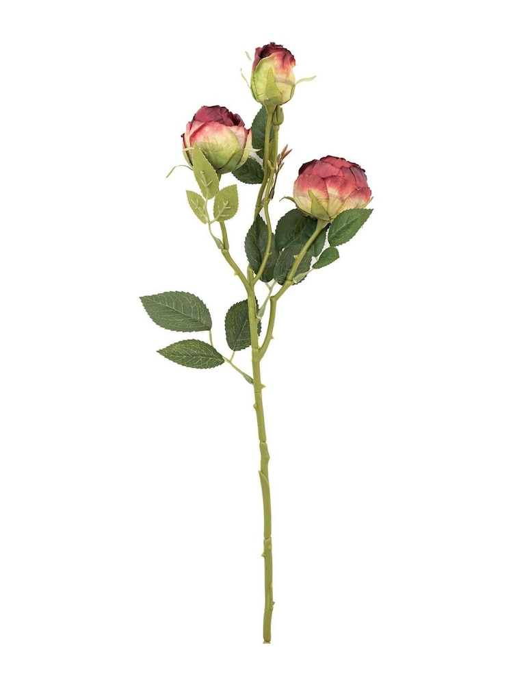 Gallery Home 6 Pack Claret Faux Stem Vintage Roses - Image 2 of 4