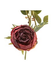 Gallery Home 6 Pack Claret Faux Stem Vintage Roses - Image 3 of 4