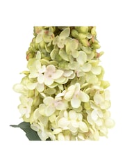 Gallery Home 12 Pack White Faux Vintage Cone Hydrandea Stems - Image 4 of 5