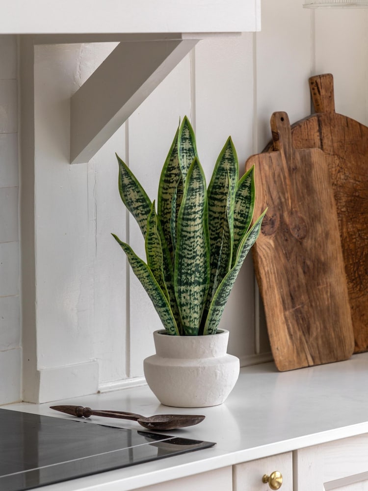 Gallery Home Natural Faux Snake Plant in Ceramic Pot - Image 1 of 6