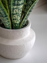 Gallery Home Natural Faux Snake Plant in Ceramic Pot - Image 3 of 6