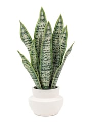 Gallery Home Natural Faux Snake Plant in Ceramic Pot - Image 4 of 6