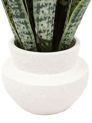 Gallery Home Natural Faux Snake Plant in Ceramic Pot - Image 5 of 6