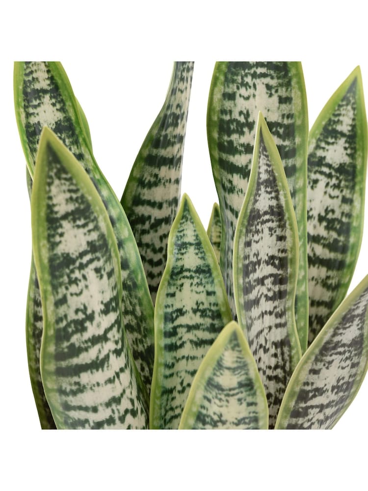 Gallery Home Natural Faux Snake Plant in Ceramic Pot - Image 6 of 6