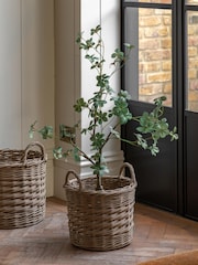Gallery Home Green Faux Potted Rhodoleia 3ft Tree - Image 1 of 6
