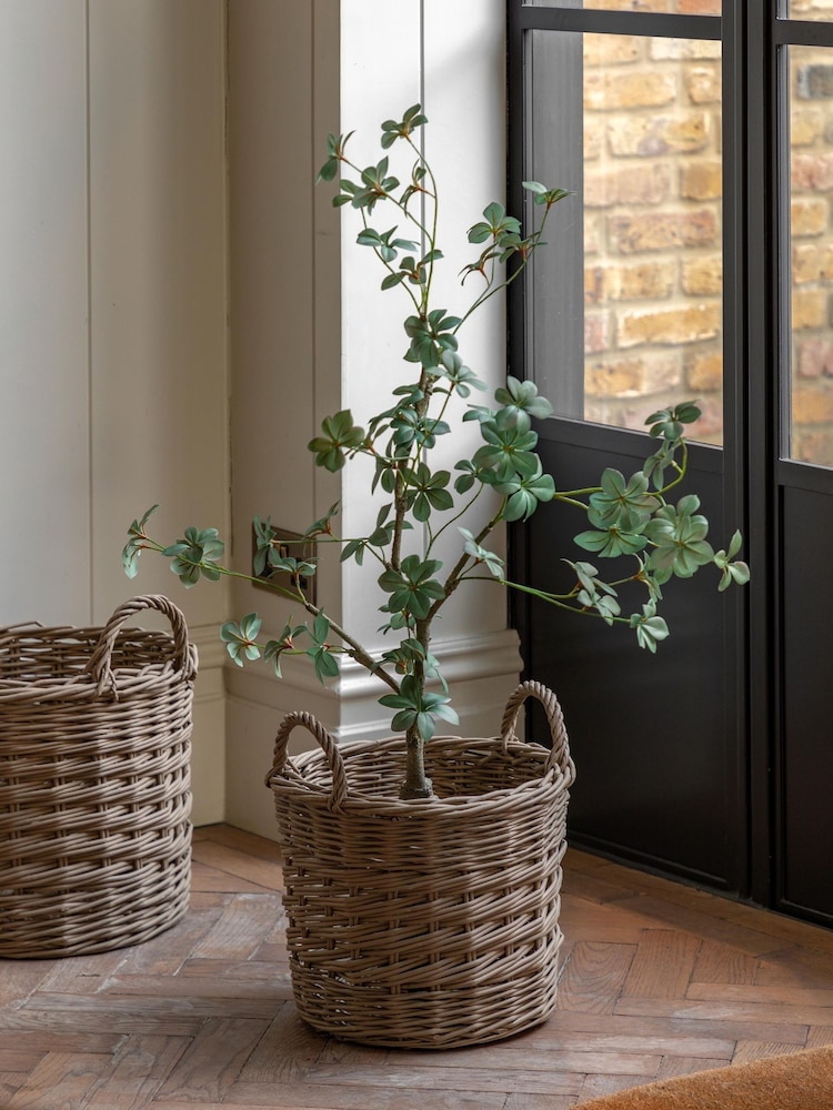 Gallery Home Green Faux Potted Rhodoleia 3ft Tree - Image 1 of 6 Gallery Home Green Faux Potted Rhodoleia 3ft Tree - Image 1 of 6