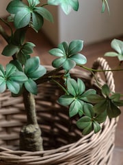 Gallery Home Green Faux Potted Rhodoleia 3ft Tree - Image 3 of 6