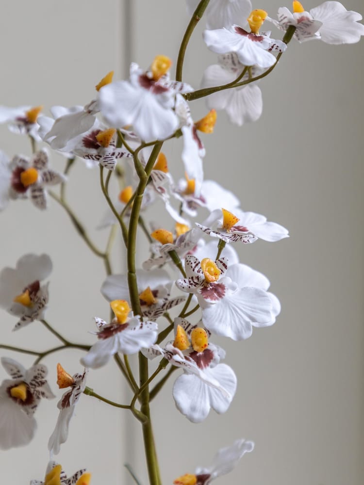 Gallery Home White Faux Orchid in Low Ceramic Pot - Image 2 of 5 Gallery Home White Faux Orchid in Low Ceramic Pot - Image 2 of 5