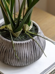 Gallery Home White Faux Orchid in Low Ceramic Pot - Image 3 of 5