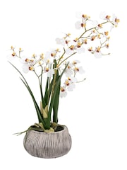 Gallery Home White Faux Orchid in Low Ceramic Pot - Image 4 of 5