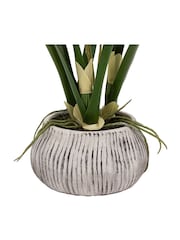 Gallery Home White Faux Orchid in Low Ceramic Pot - Image 5 of 5