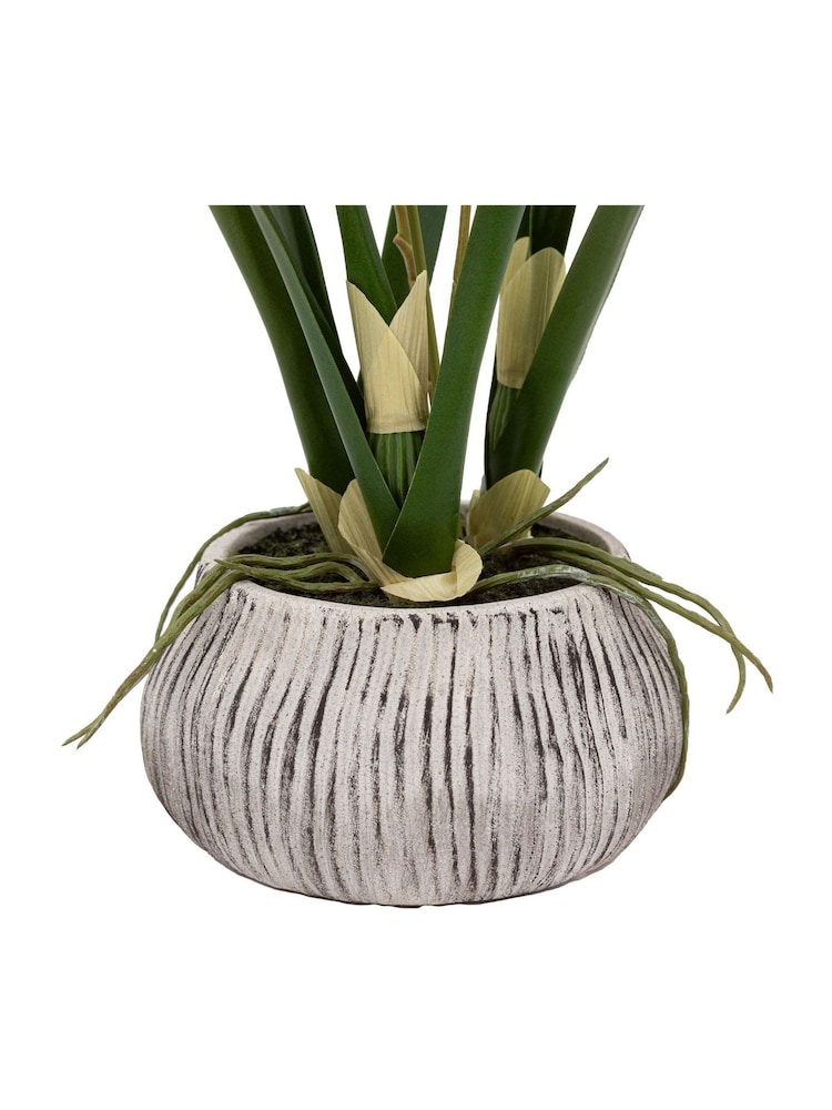 Gallery Home White Faux Orchid in Low Ceramic Pot - Image 5 of 5 Gallery Home White Faux Orchid in Low Ceramic Pot - Image 5 of 5