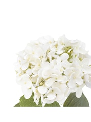 Gallery Home 12 Pack White Faux Vintage Hydrangea Floral Stems - Image 4 of 5