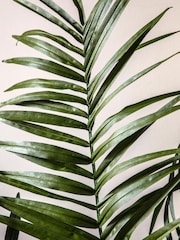 Gallery Home Green Large Faux Potted King Kentia Palm Tree - Image 2 of 7