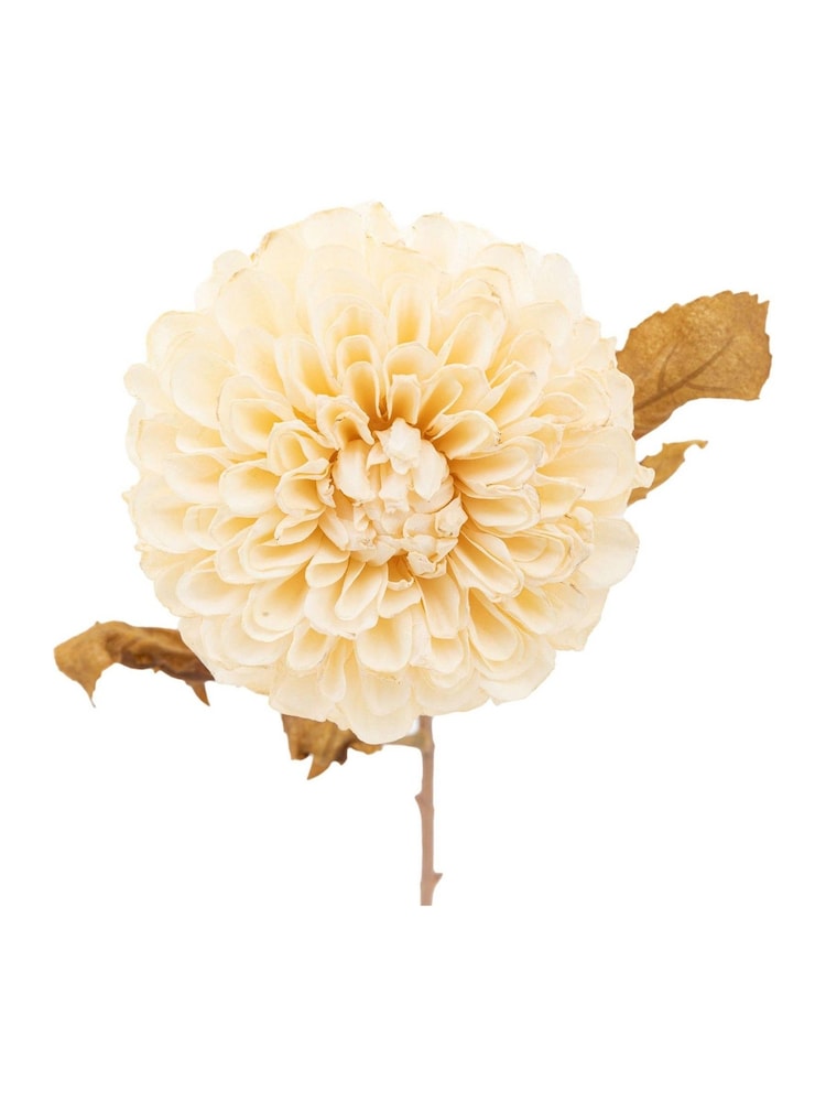 Gallery Home 6 Pack Ivory Faux Stem Dahlias - Image 4 of 4 Gallery Home 6 Pack Ivory Faux Stem Dahlias - Image 4 of 4