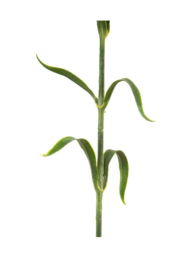 Gallery Home 12 Pack Green Faux Stem Statement Blooms - Image 2 of 4