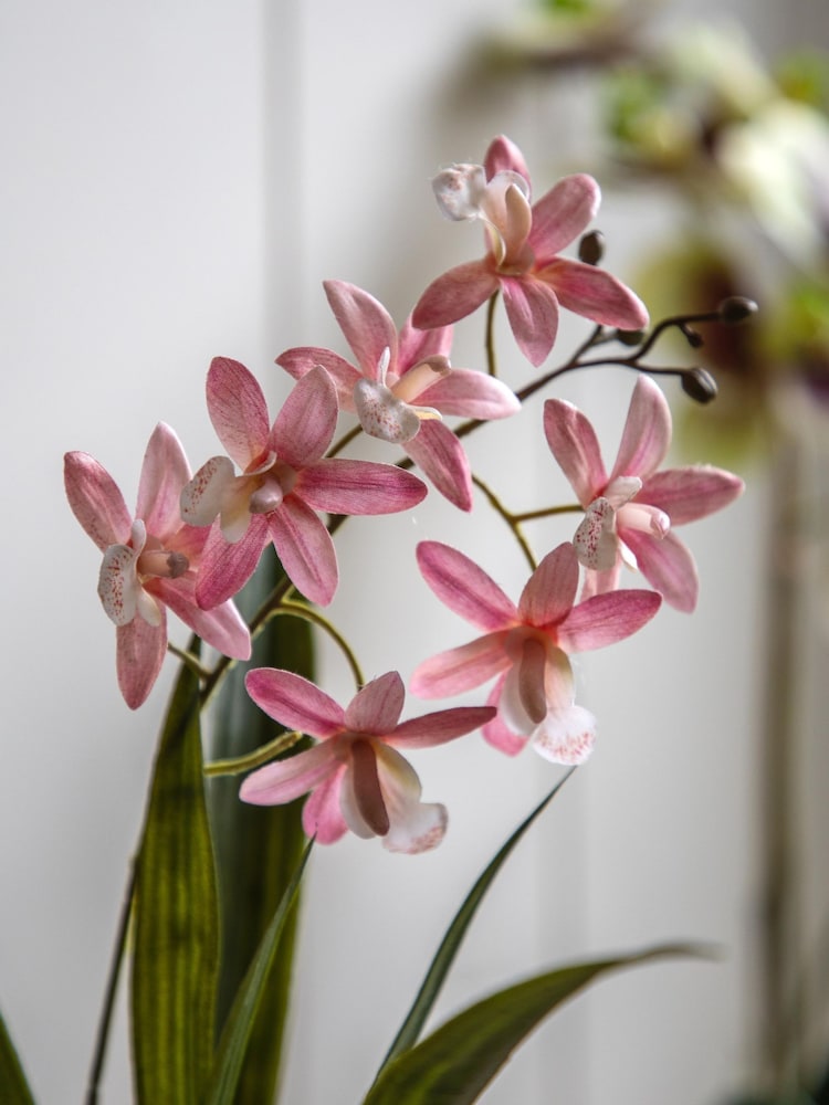Gallery Home Pink Faux Orchid in Ceramic Dot Pot - Image 2 of 6