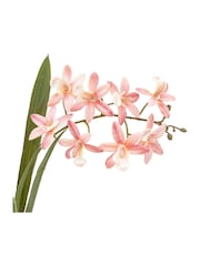 Gallery Home Pink Faux Orchid in Ceramic Dot Pot - Image 5 of 6